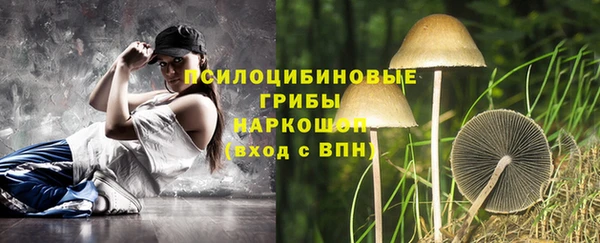 дурь Алексеевка